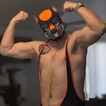 xanderthealphapup
